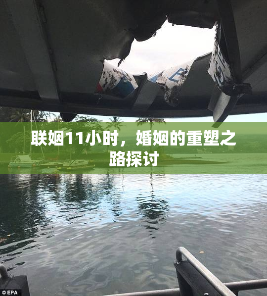 联姻11小时，婚姻的重塑之路探讨