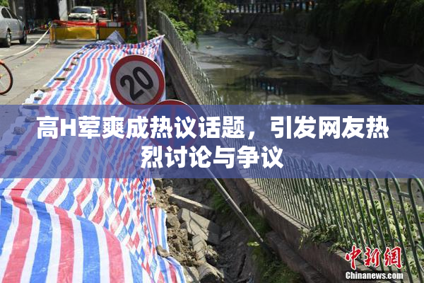 高H荤爽成热议话题，引发网友热烈讨论与争议
