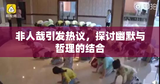 非人哉引发热议，探讨幽默与哲理的结合