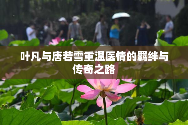 叶凡与唐若雪重温医情的羁绊与传奇之路