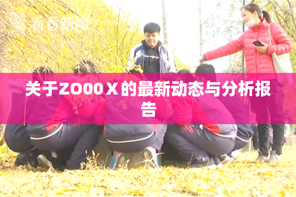 关于ZO00Ⅹ的最新动态与分析报告