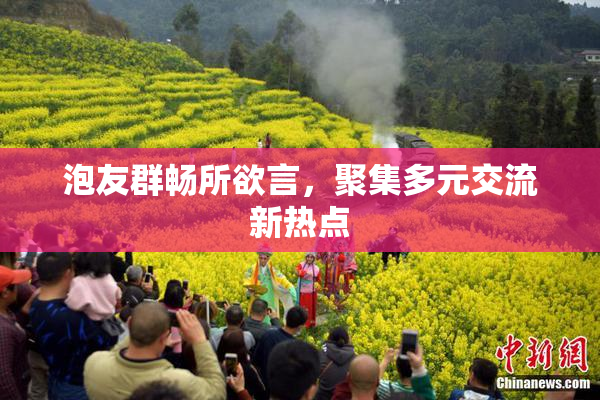 泡友群畅所欲言，聚集多元交流新热点