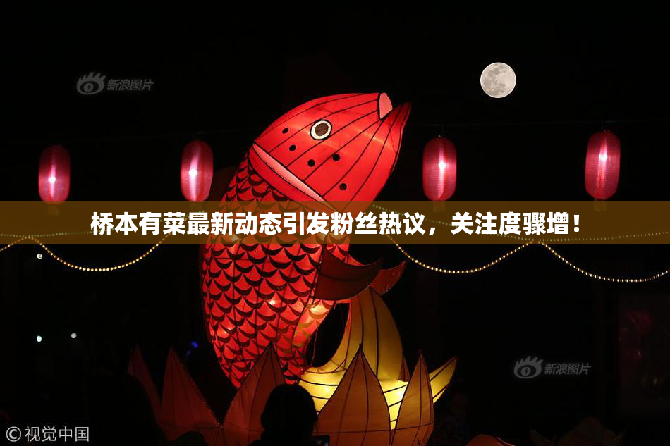 桥本有菜最新动态引发粉丝热议，关注度骤增！
