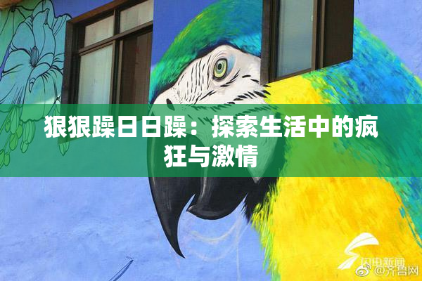 狠狠躁日日躁：探索生活中的疯狂与激情