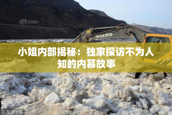 小姐内部揭秘：独家探访不为人知的内幕故事