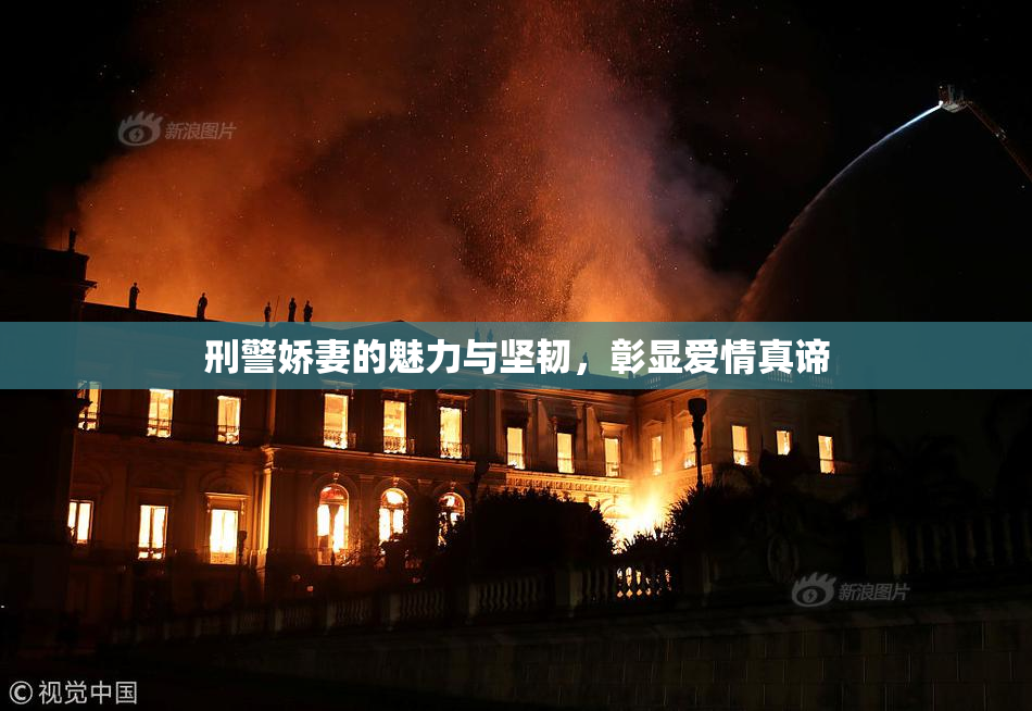 刑警娇妻的魅力与坚韧，彰显爱情真谛