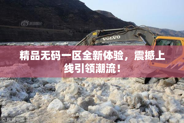 精品无码一区全新体验，震撼上线引领潮流！