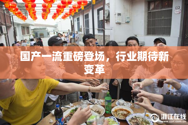 国产一流重磅登场，行业期待新变革