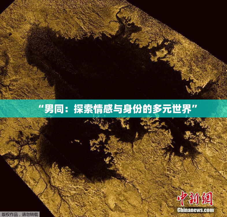 “男同：探索情感与身份的多元世界”