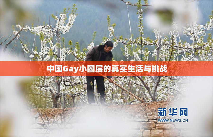 中国Gay小圈层的真实生活与挑战