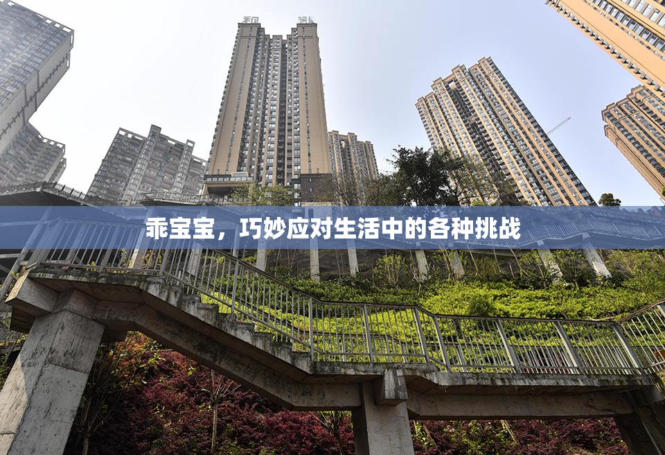 乖宝宝，巧妙应对生活中的各种挑战