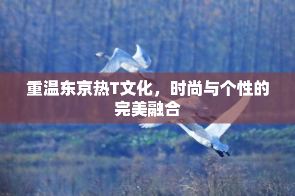 重温东京热T文化，时尚与个性的完美融合