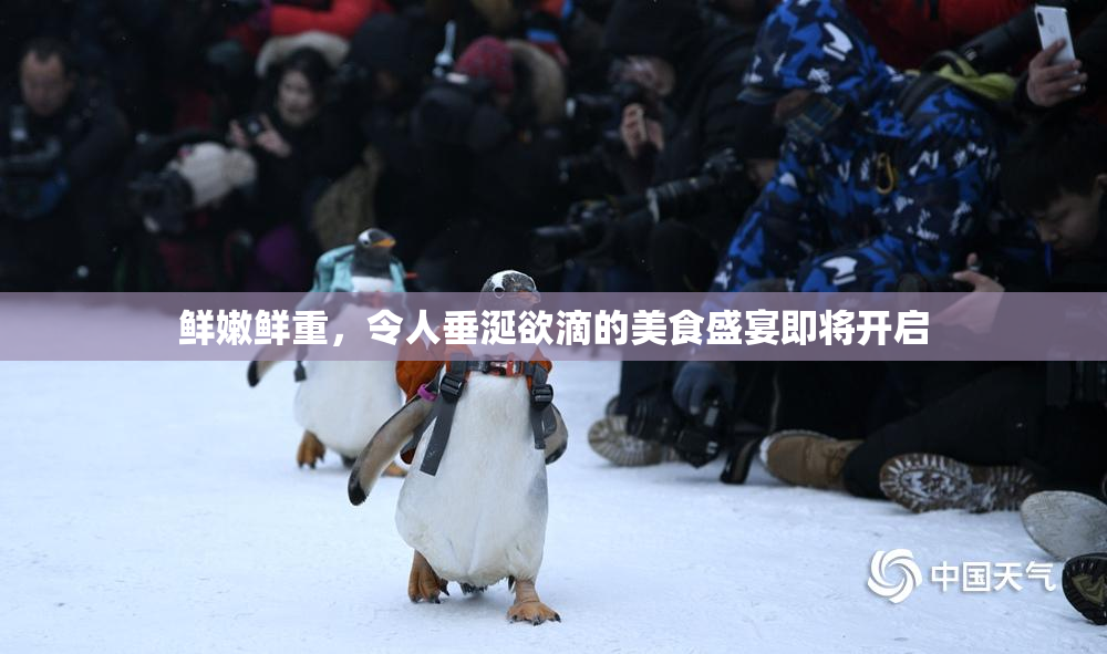 鲜嫩鲜重，令人垂涎欲滴的美食盛宴即将开启