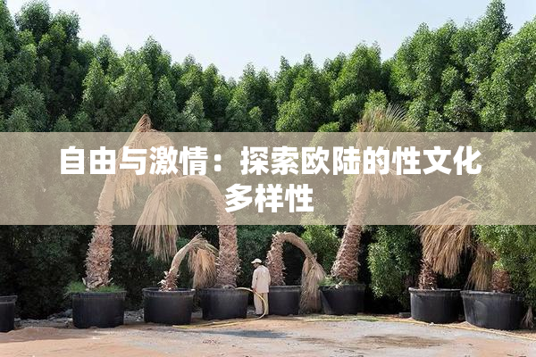 自由与激情：探索欧陆的性文化多样性