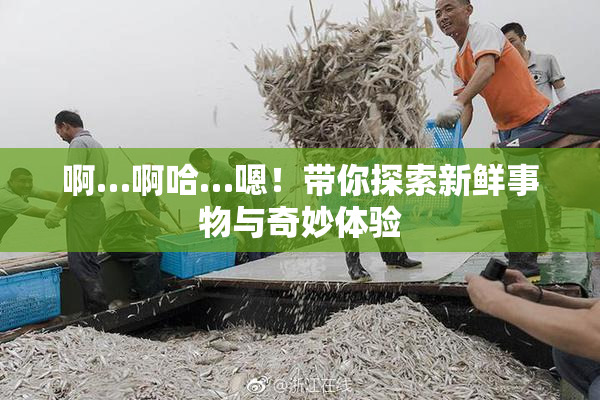 啊…啊哈…嗯！带你探索新鲜事物与奇妙体验