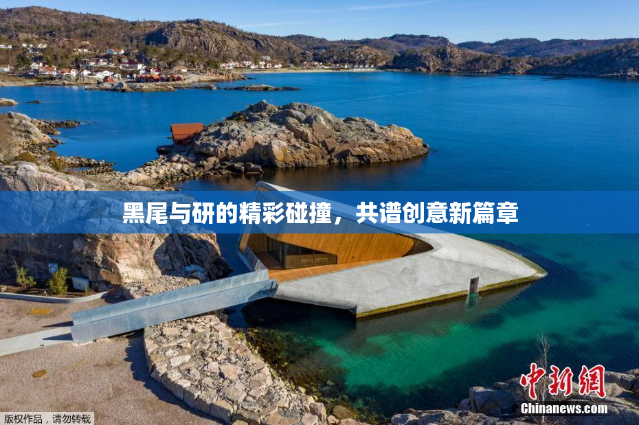 黑尾与研的精彩碰撞，共谱创意新篇章