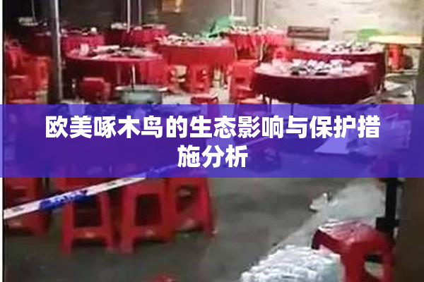 欧美啄木鸟的生态影响与保护措施分析