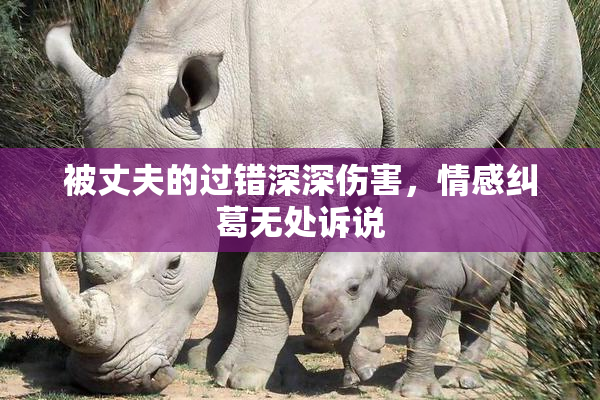 被丈夫的过错深深伤害，情感纠葛无处诉说