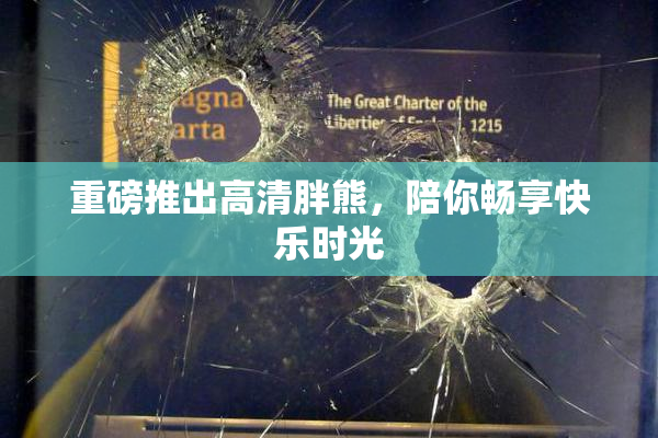 重磅推出高清胖熊，陪你畅享快乐时光