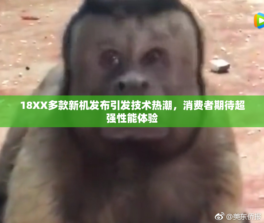 18XX多款新机发布引发技术热潮，消费者期待超强性能体验