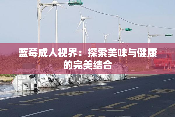 蓝莓成人视界：探索美味与健康的完美结合