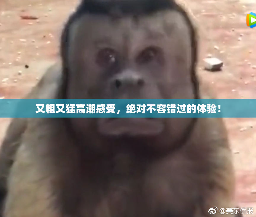 又粗又猛高潮感受，绝对不容错过的体验！