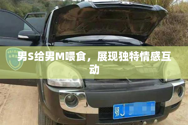 男S给男M喂食，展现独特情感互动