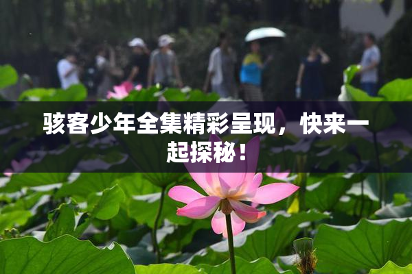 骇客少年全集精彩呈现，快来一起探秘！