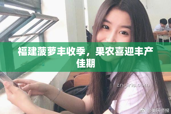 福建菠萝丰收季，果农喜迎丰产佳期