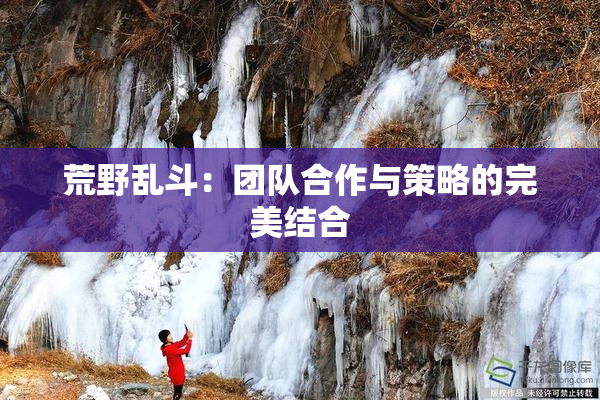 荒野乱斗：团队合作与策略的完美结合