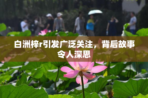白洲梓r引发广泛关注，背后故事令人深思