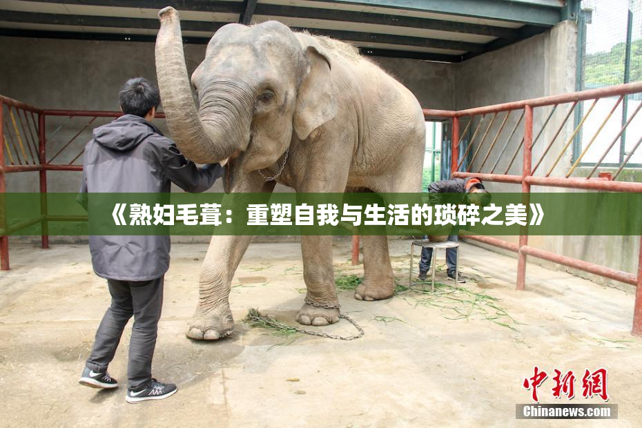 《熟妇毛葺：重塑自我与生活的琐碎之美》