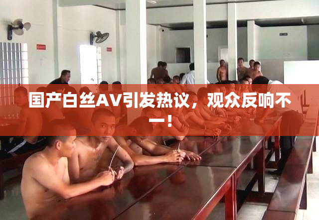 国产白丝AV引发热议，观众反响不一！