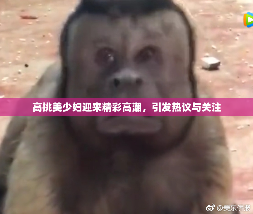 高挑美少妇迎来精彩高潮，引发热议与关注