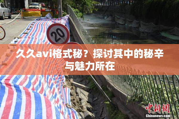 久久avi格式秘？探讨其中的秘辛与魅力所在
