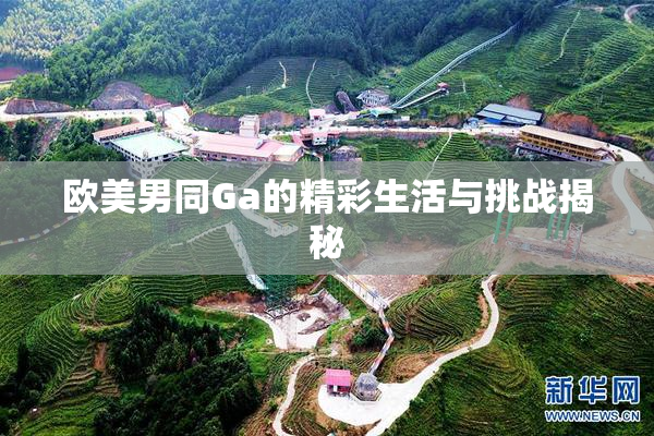 欧美男同Ga的精彩生活与挑战揭秘