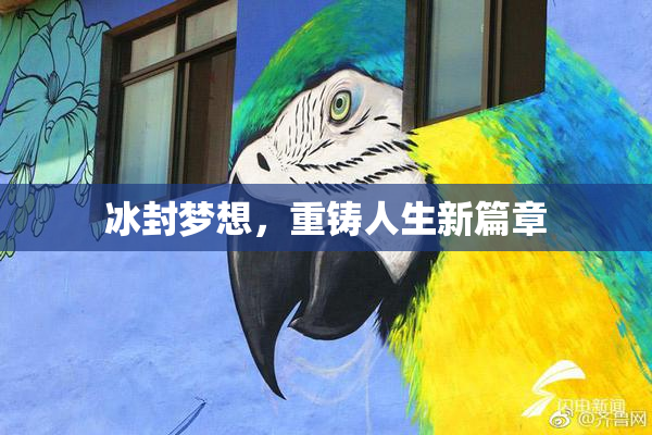 冰封梦想，重铸人生新篇章