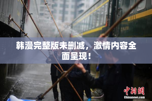 韩漫完整版未删减，激情内容全面呈现！