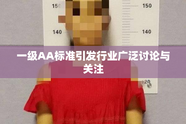 一级AA标准引发行业广泛讨论与关注