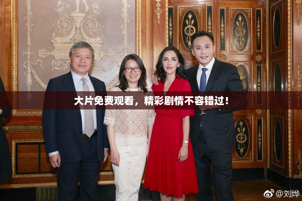 大片免费观看，精彩剧情不容错过！