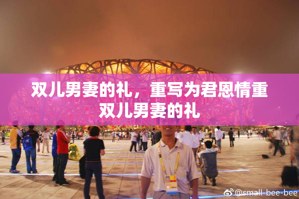 双儿男妻的礼，重写为君恩情重双儿男妻的礼