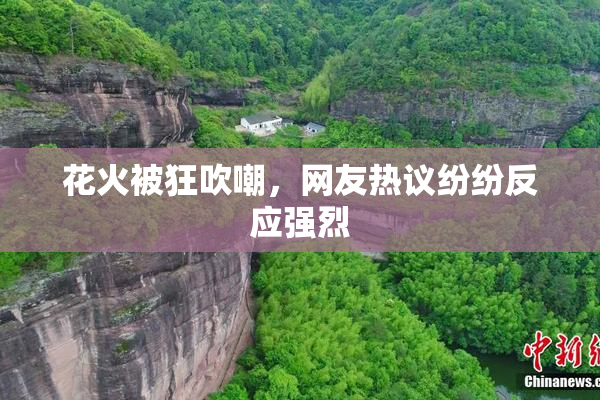 花火被狂吹嘲，网友热议纷纷反应强烈