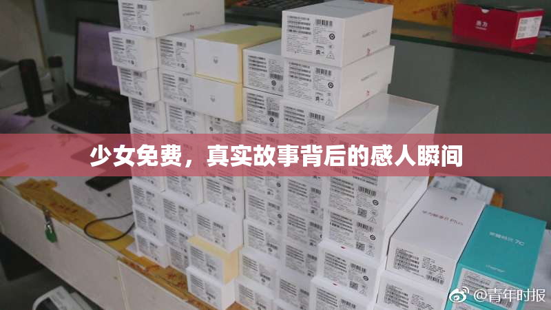 少女免费，真实故事背后的感人瞬间
