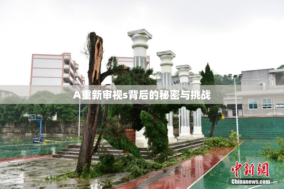 A重新审视s背后的秘密与挑战