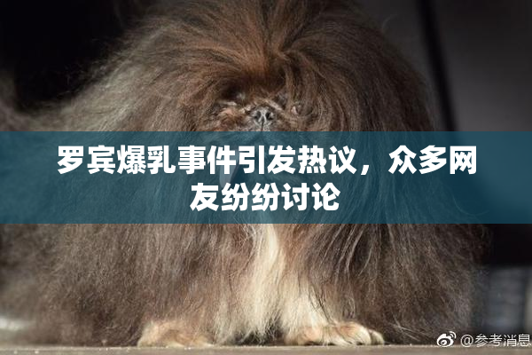罗宾爆乳事件引发热议，众多网友纷纷讨论