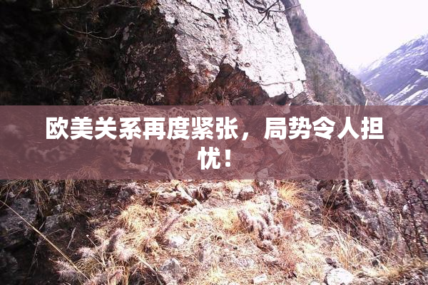 欧美关系再度紧张，局势令人担忧！
