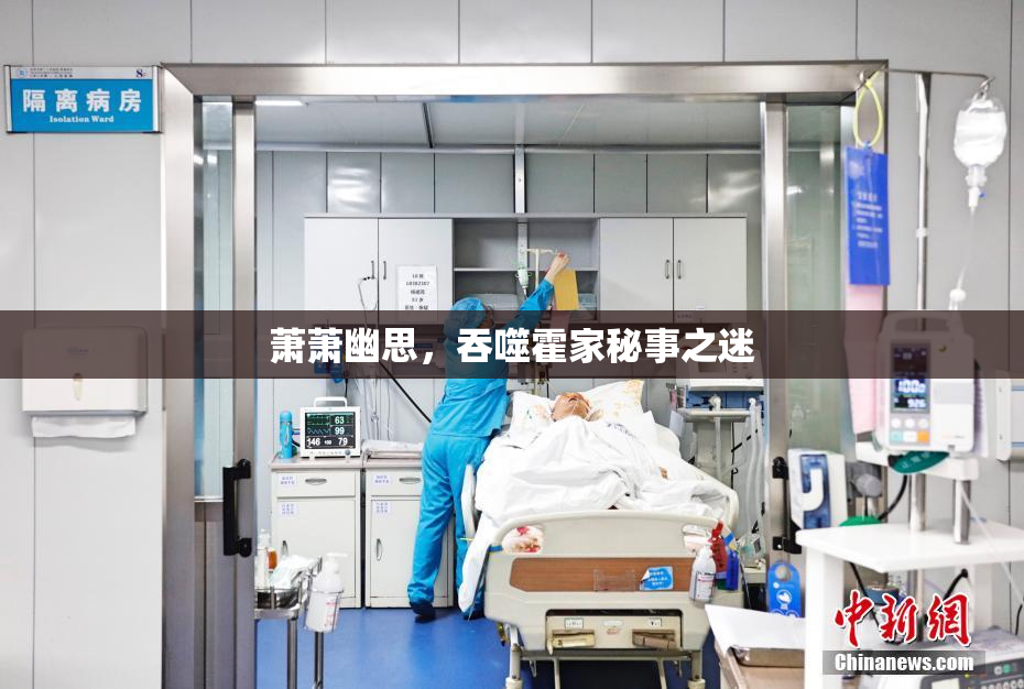 萧萧幽思，吞噬霍家秘事之迷