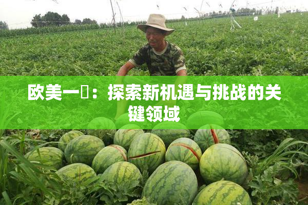 欧美一級：探索新机遇与挑战的关键领域