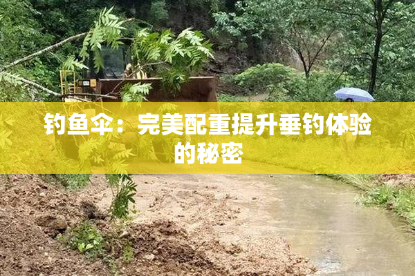 钓鱼伞：完美配重提升垂钓体验的秘密