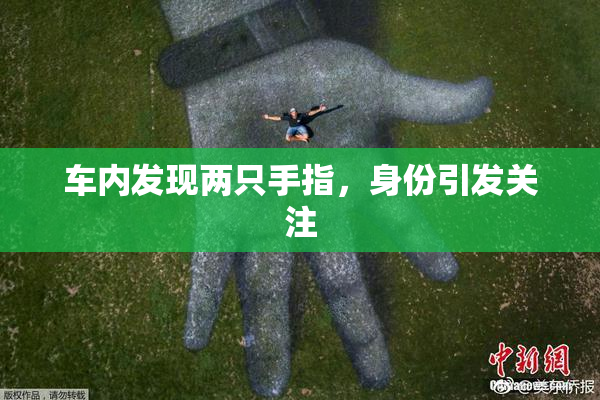 车内发现两只手指，身份引发关注